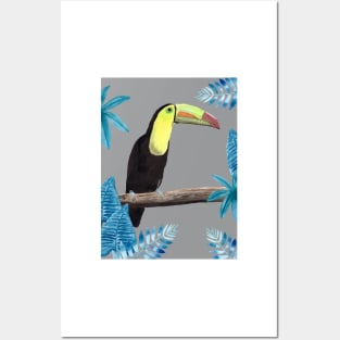 Toucan with tropical leaves and an ultimate gray background Posters and Art